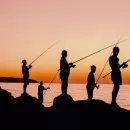 Рыбаки выловили 27 тонн корюшки в Ленобласти до начала массового хода рыбы
